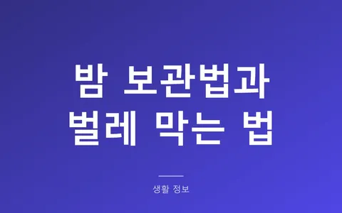 밤 보관법, 소금물에 담가야 벌레가 안 나오는 이유