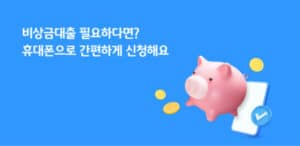 비상금 대출 상품 소개